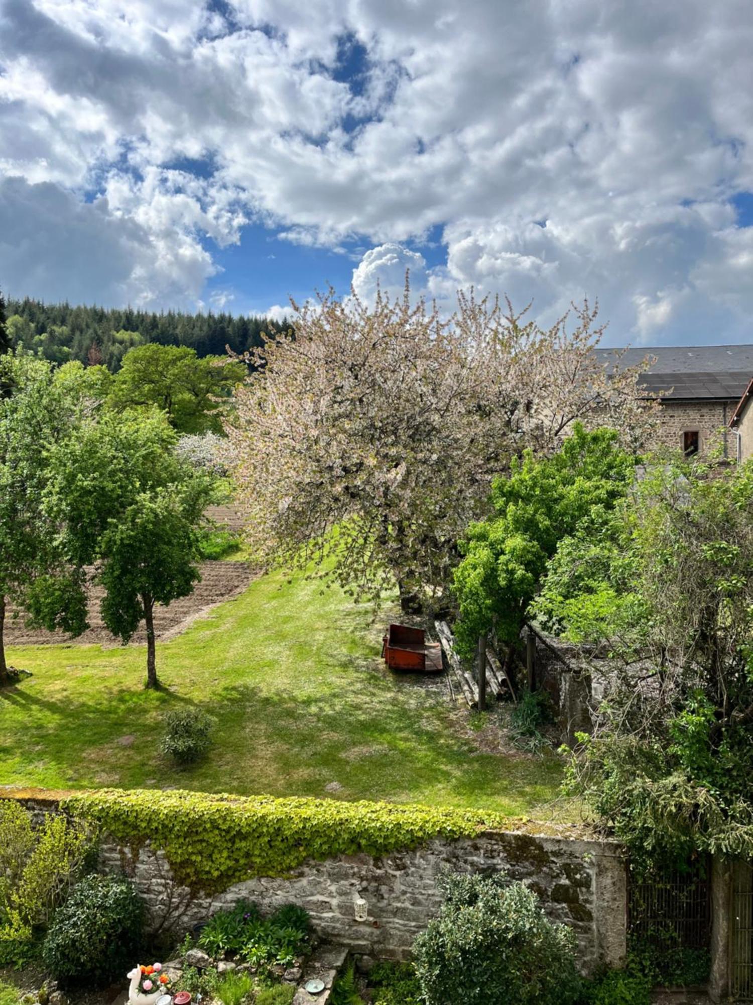 Chez Jallot Vidaillat Екстер'єр фото